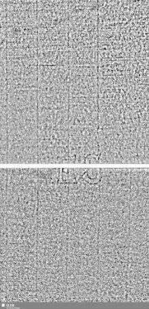 Löwe (steigend) mit Schwert / ES = S.31/32+115/116