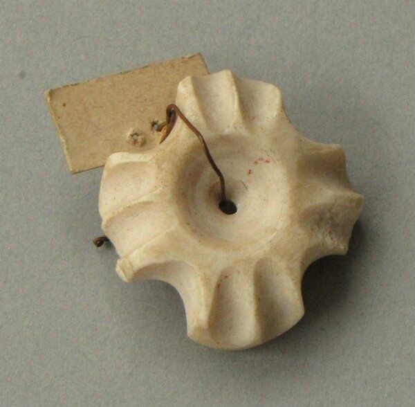 Shell ornament