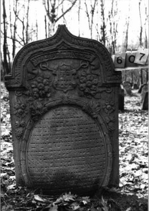 Grabstein 607 (Index: 99753121) Material: Sandstein Zustand: gut, Stele eingesunken Maße HxBxT: 138x78x13 cm Beschreibung: Stele, eingezog. Kielbogenabschluß, ovales Schriftfeld Symbolik: Wappenschild, Feigen, Trauben, Lorberkranz, Blätter, Schriftband: Grabstein 607