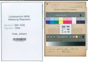 Entnazifizierung Johann Voss , geb. 12.04.1888 (Landwirt)