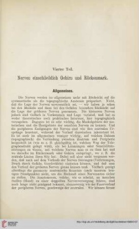 Vierter Teil: Nerven einschliesslich Gehirn und Rückenmark