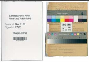 Entnazifizierung Ernst Triegel , geb. 11.03.1890 (Polizist)