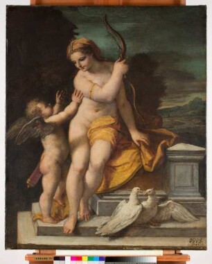 Venus und Armor