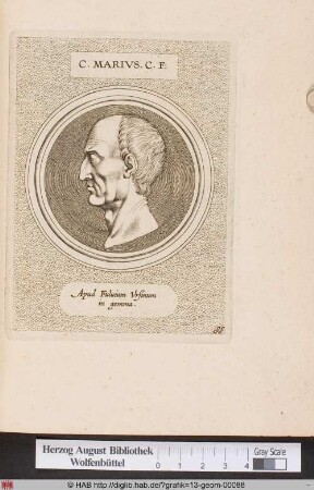 Porträt des Gaius Marius.