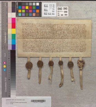 Erbregelungen der Gräfin Agnes v. Everstein und ihres Sohnes Graf Hermann bzgl. der Herrschaft Everstein.