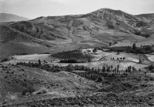 Farm und Landschaftsblick : Blick auf ein Farmgelände, das vermutlich im Besitz eines Europäers ist. Im Vordergrund befindet sich unbearbeitetes Land; dahinter sind Gersten- und Weizenfelder, Ölbäume und an den Berghängen Weiden und Macchiebüsche zu erkennen.