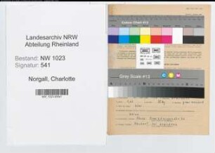 Entnazifizierung Charlotte Norgall , geb. 20.02.1900 (Lehrerin)