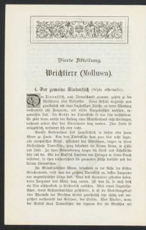 Vierte Abteilung. Weichtiere (Mollusca).