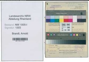 Entnazifizierung Arnold Brandt , geb. 13.06.1892 (Vorarbeiter)