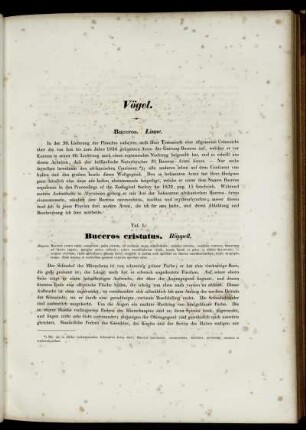 Vögel [Abbildungsbeschreibungen zu Taf. 1 - Taf. 42]