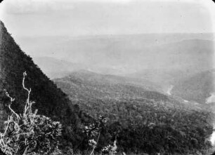 Das Tal von Michiplaya : Blick auf ein Bergtal mit Vegetation