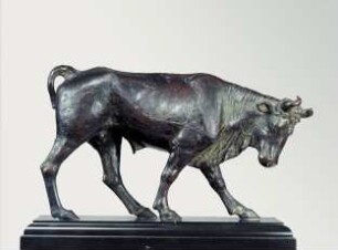 schreitender Stier