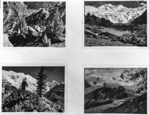 Anden : Vier Abbildungen mit Berglandschaften, Gletschern und Andenvegetation