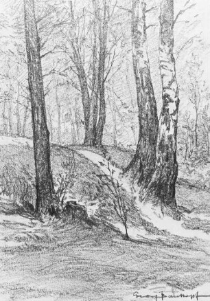 Wald- oder Heidestück mit Birken : Bernkopf, Georg: Wald- oder Heidestück mit Birken. Zeichnung, bezeichnet "Georg Bernkopf"