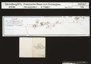 Heilige Dreifaltigkeit samt Bergkappe Fundgrube am Widdersberg bei Schneeberg sowie Junges Wildschwein und Türken Fundgrube auf der Zschorlauer Höhe