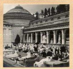 Genua