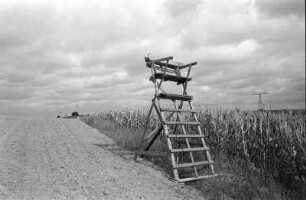 Angermünde : Angermünde, Mündesee-Rundweg