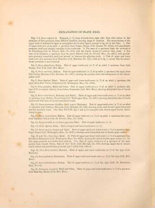 A monograph of the insectivora, systematic and anatomical, Part 3, fasc. 1