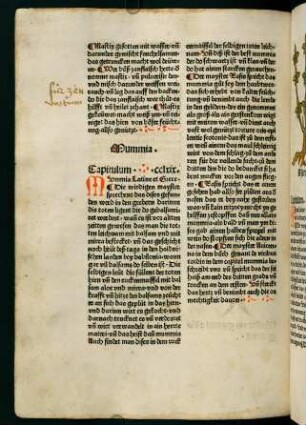142v, Mummia (269. Kapitel)