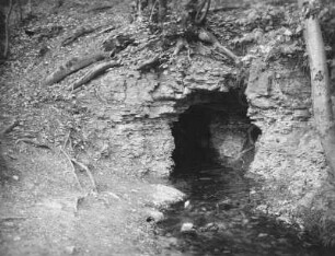 Thüringer Becken. Karstquelle im Muschelkalk bei Neidschütz nahe Naumburg
