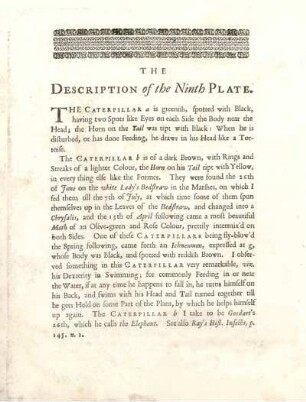 The Description of the Ninth Plate