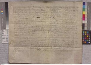 Heusenstamm: Notariatsinstrument aus dem geistlichen Prozess der Anna v. Gemmingen, Witwe Eberhards v. Heusenstamm gegen die von Seligenstadt und ...