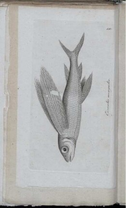 [Tab.] 100.