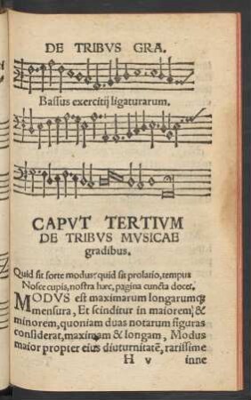 Caput Tertium De Tribus Musicae gradibus.