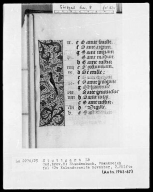 Lateinisch-französisches Stundenbuch — ---, Folio 2 recto - 13 versoTeilbordüre, Folio 12 verso