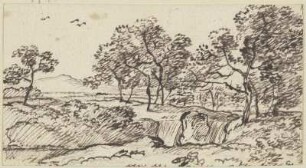 Landschaft mit hohen Bäumen