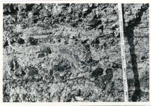 Dresden-Gittersee. Baugrube Schacht 1. Nordwest-Stoß. Konglomerat, zum Teil nur gering gerundet in Silt