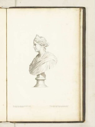 Buste d'une Dame Romaine de marbre antique Au Palais des Thuilleries.