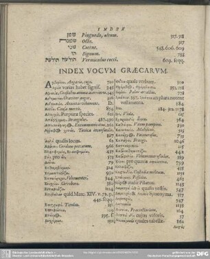 Index Vocum Graecarum