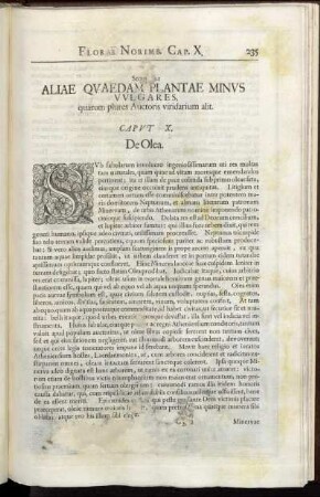 Caput X. De Olea.