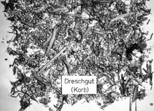 Mais-Dreschgut