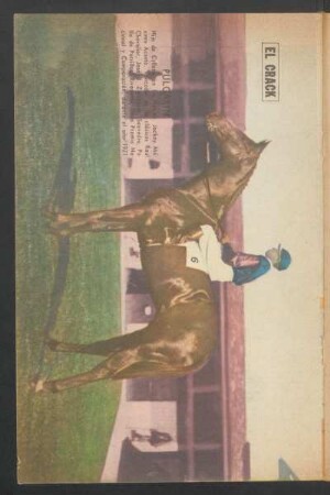 El crack: Pulgarin, hijo de Cyllene [y] La Nanita, jockey: Máximo Acosta [...] - [Fotografía]