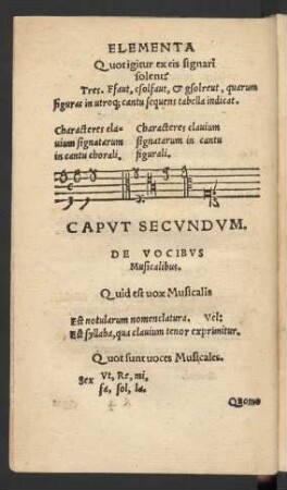 Caput Secundum. De Vocibus Musicalibus.