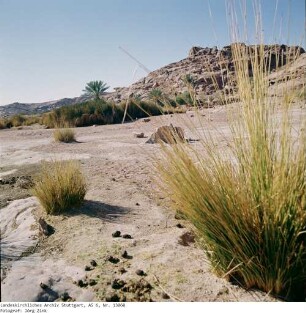 Im Mittleren Sinai