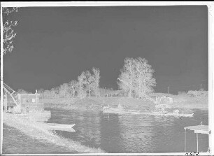 Staustufe Schweinfurt. Abtrag des Trenndammes zwischen Main und Unterkanal der alten Schleuse. Schweinfurter Pegel = 116 cm.