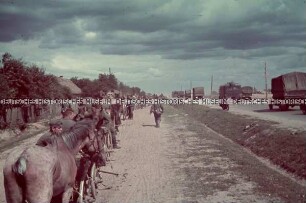 Marschkolonnen und LKWs der Wehrmacht in der Ukraine