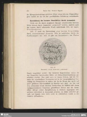 Entwicklung des latenten Druckbildes durch Ammoniak