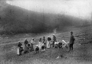 Pflanzarbeit im Pflanzrevier des Forstamtes