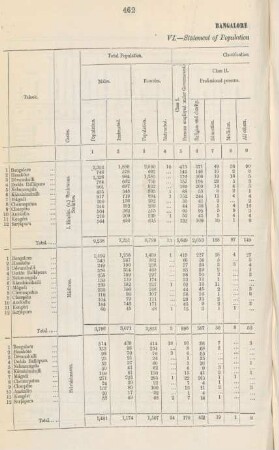 No. VI.Statement of population according to occupation