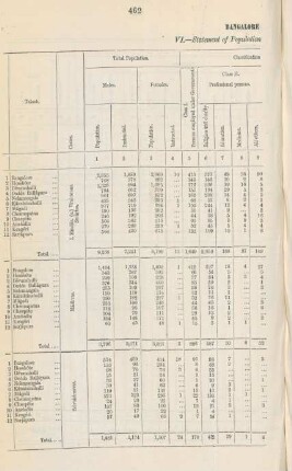 No. VI.Statement of population according to occupation