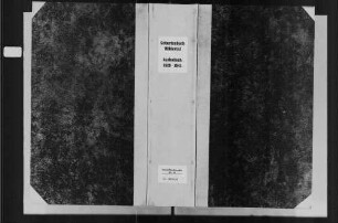 Bühlertal, katholische Gemeinde: Geburtenbuch 1828-1841