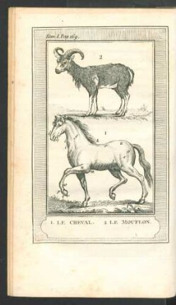 Tafel: Le Cheval, le Mouflon.