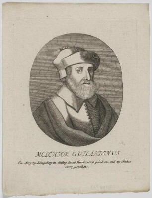 Bildnis des Melchior Guilandinus