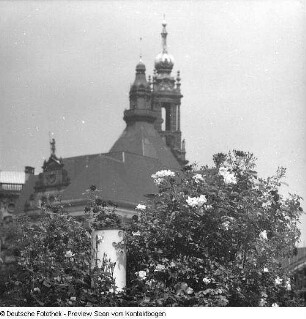 Dresden; Wenn in Dresden die Rosen blühen
