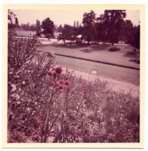 Bundesgartenschau 1955, Kassel: Pflanzen