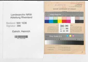 Entnazifizierung Heinrich Estrich , geb. 02.01.1889 (Formleger)